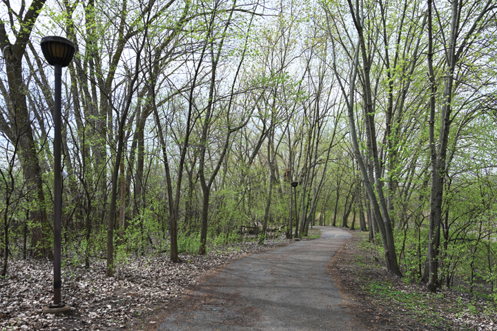 path